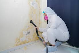 Forensic Mold Investigation in Minneola, FL